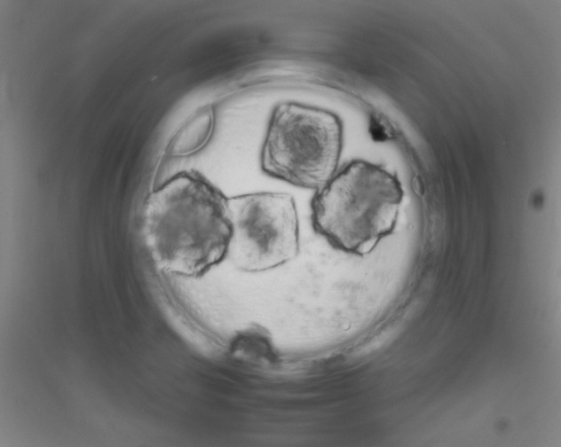 X0000116841421201001291655