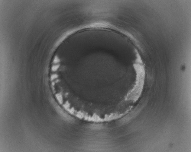 X0000116841422201001291655