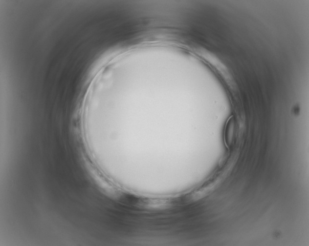 X0000116841423201001291655