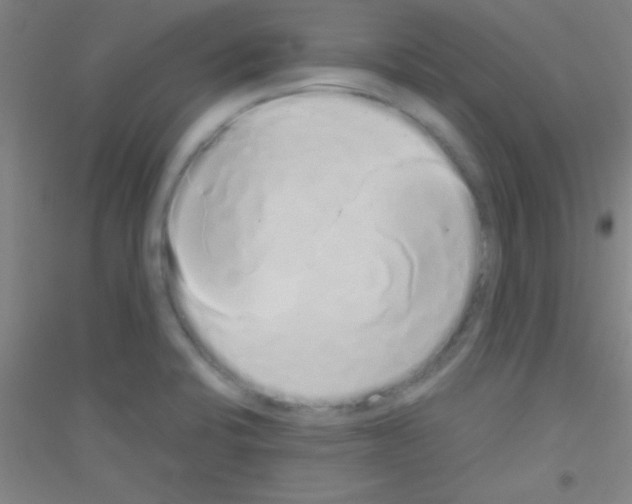 X0000116841424201001291655