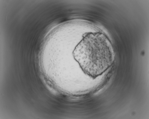 X0000116841425201001291655