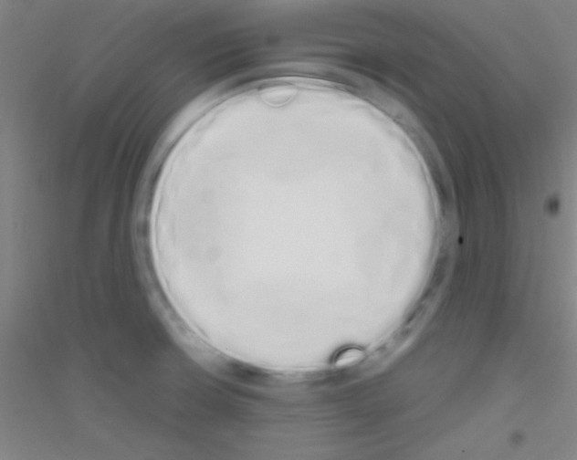 X0000116841426201001291655