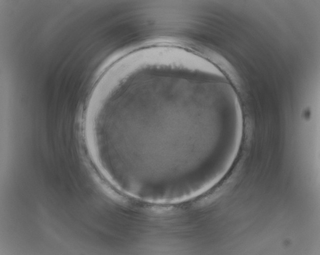 X0000116841428201001291655