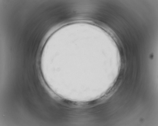 X0000116841430201001291655