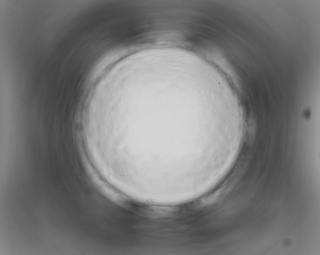 X0000116841431201001291655