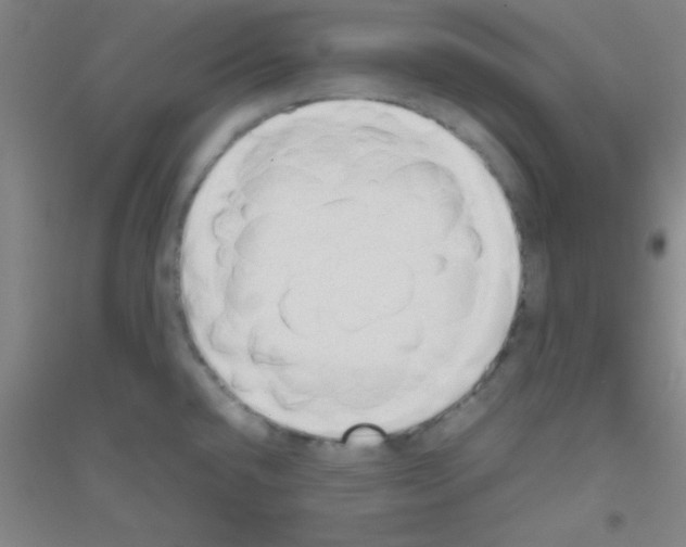 X0000116841432201001291655