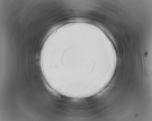 X0000116841433201001291655