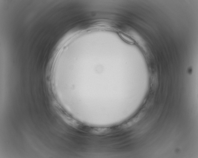 X0000116841435201001291655
