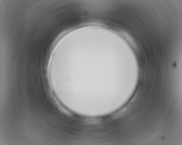 X0000116841436201001291655