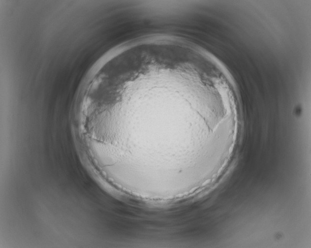 X0000116841437201001291655