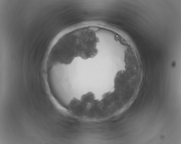 X0000116841438201001291655