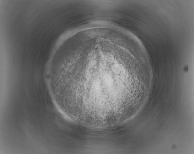 X0000116841439201001291655