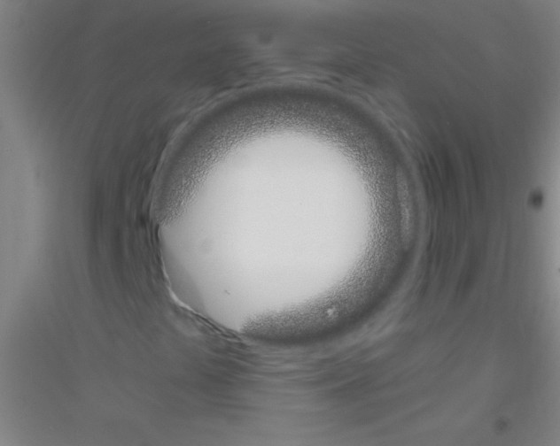 X0000116841441201001291655