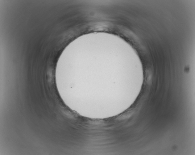 X0000116841442201001291655