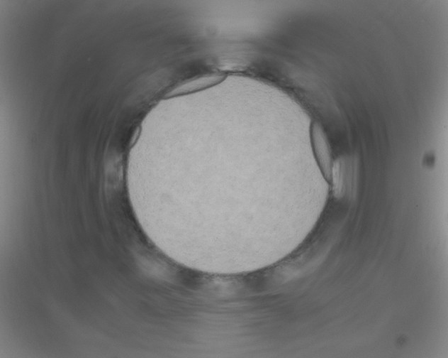 X0000116841443201001291654