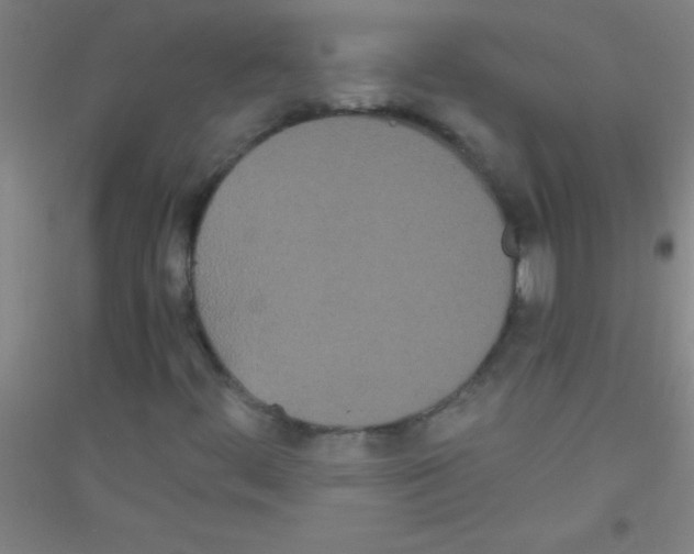 X0000116841444201001291654