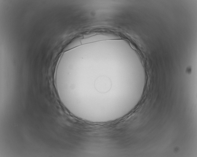 X0000116841445201001291654