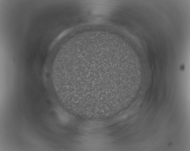 X0000116841446201001291654