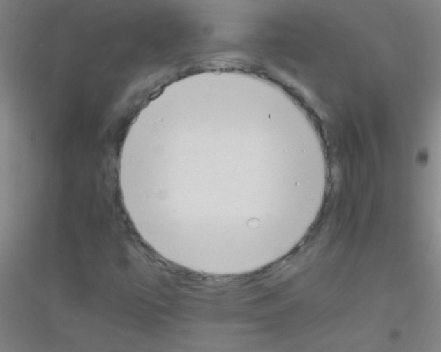 X0000116841447201001291654