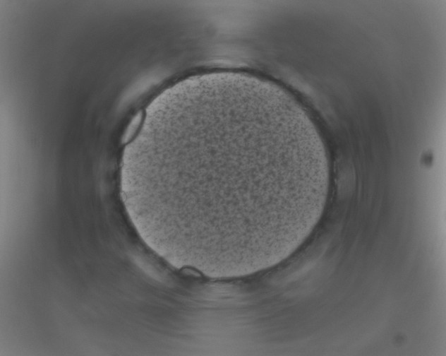 X0000116841448201001291654