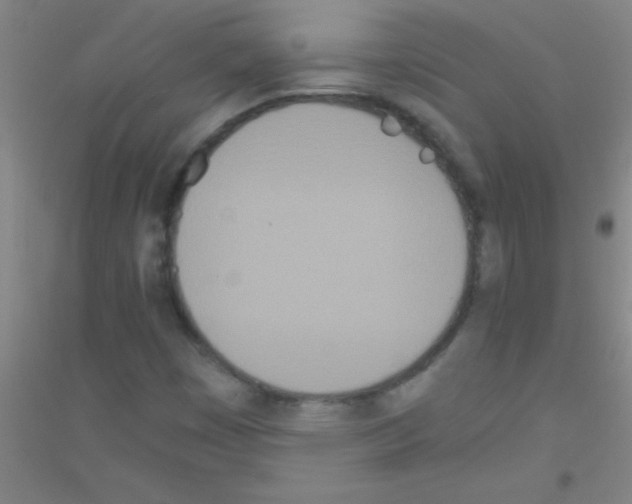 X0000116841449201001291654