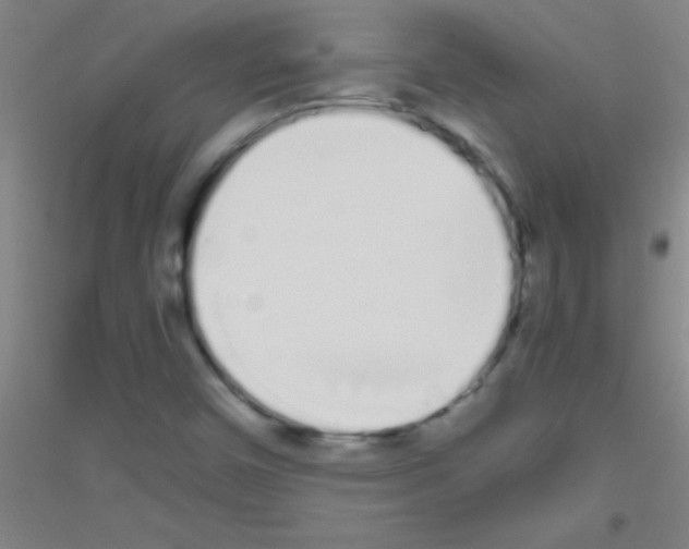 X0000116841450201001291654