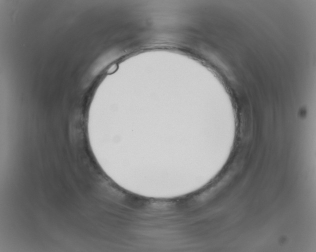 X0000116841453201001291654