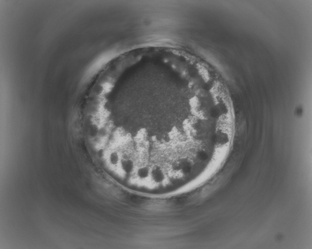 X0000116841455201001291654