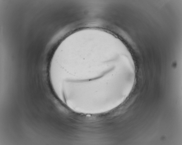X0000116841456201001291654