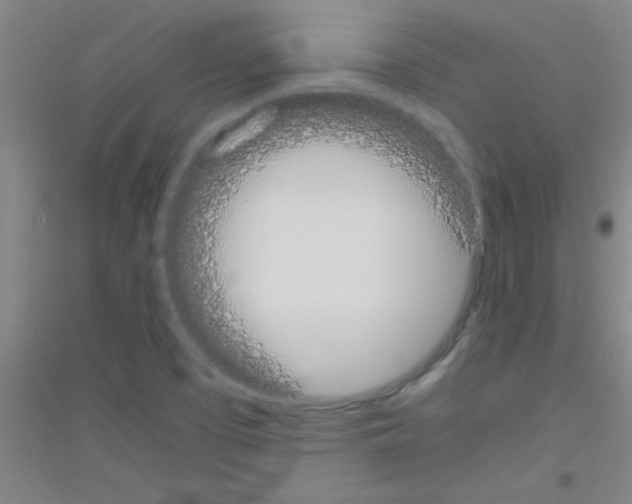 X0000116841457201001291654