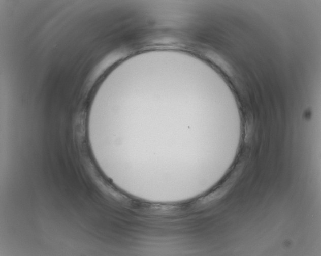 X0000116841458201001291654
