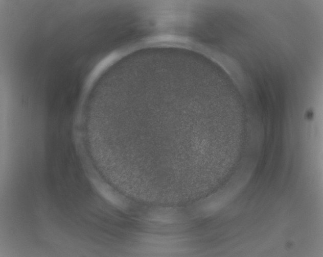X0000116841462201001291654