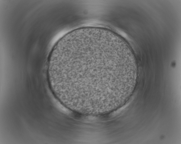 X0000116841463201001291654