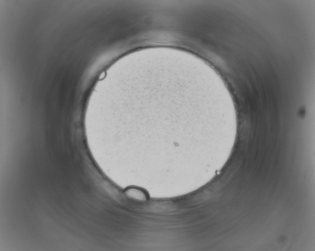 X0000116841464201001291654