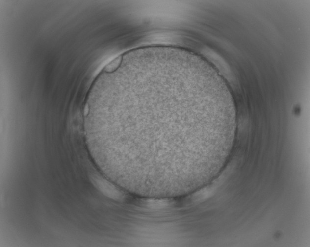 X0000116841465201001291654