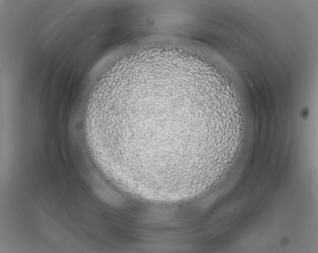 X0000116841466201001291654