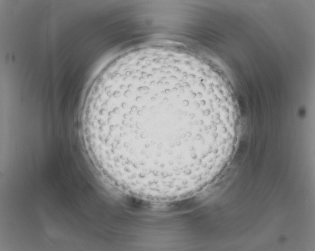 X0000116841467201001291654