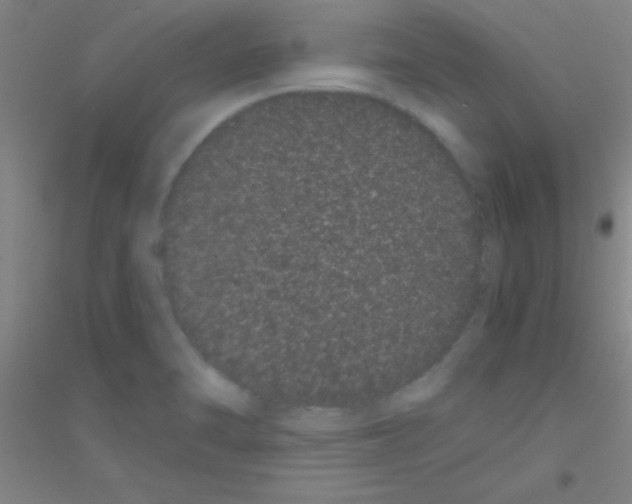 X0000116841470201001291654