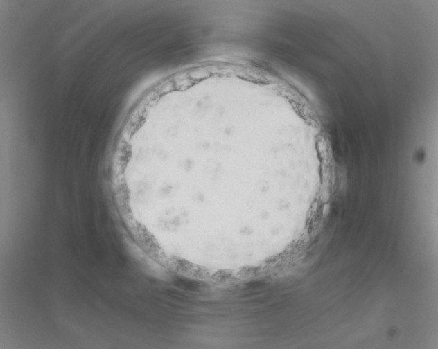 X0000116841471201001291654