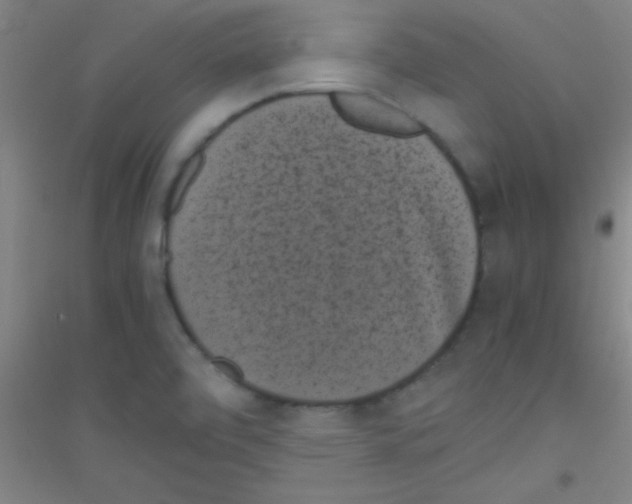 X0000116841472201001291654
