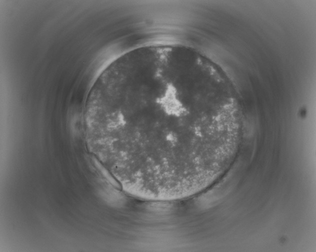 X0000116841473201001291654