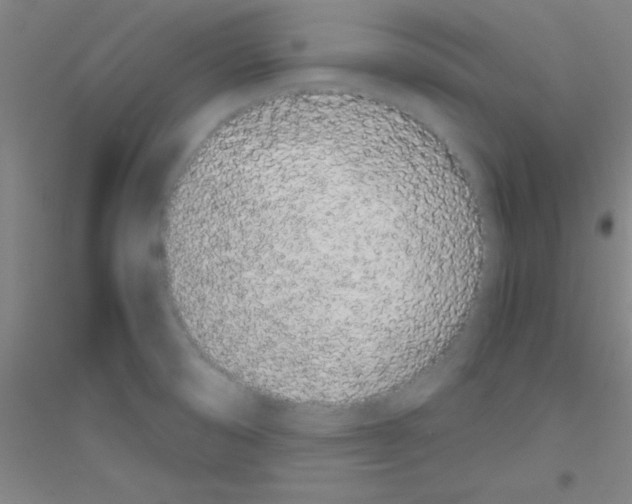 X0000116841474201001291654