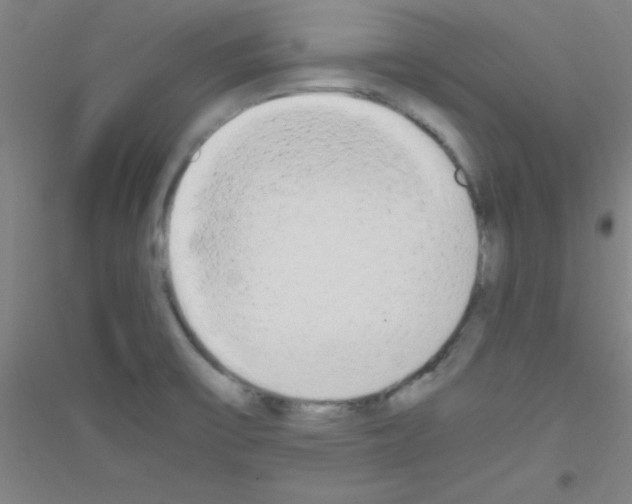 X0000116841475201001291654
