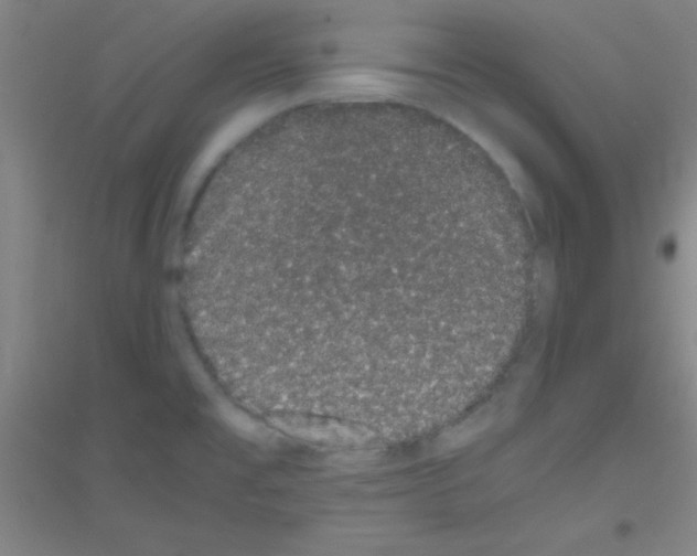 X0000116841477201001291654