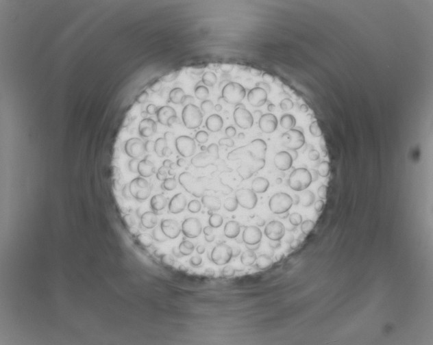 X0000116841479201001291654