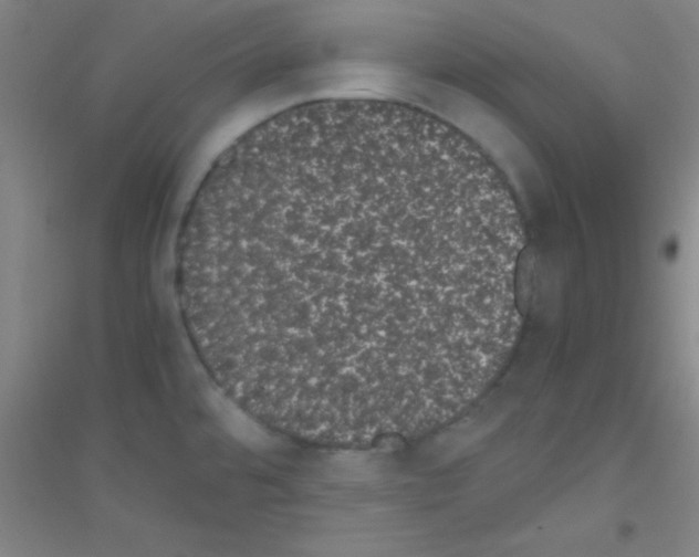 X0000116841480201001291654