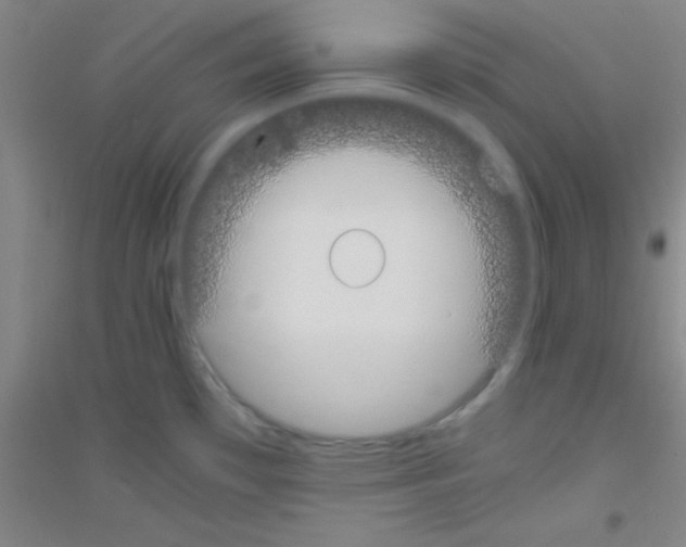 X0000116841481201001291654