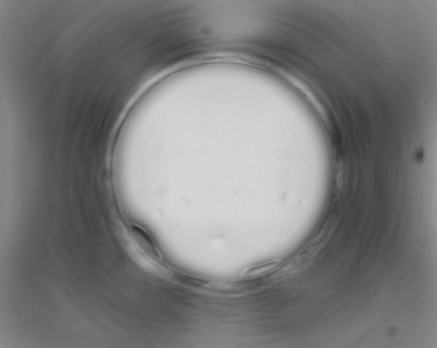 X0000116841482201001291654