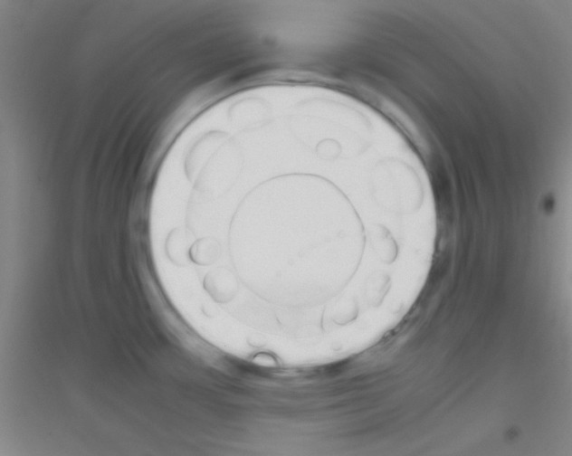 X0000116841483201001291654