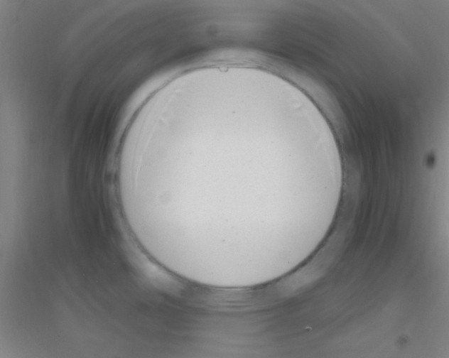 X0000116841486201001291654
